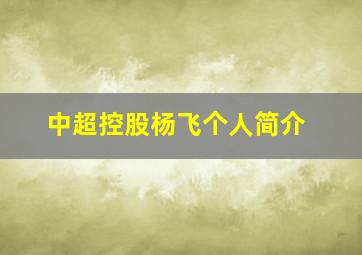 中超控股杨飞个人简介