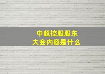 中超控股股东大会内容是什么