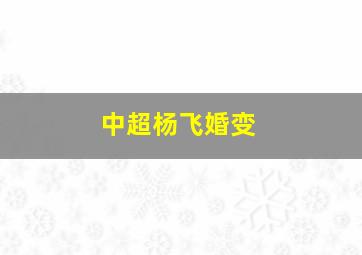 中超杨飞婚变