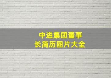 中进集团董事长简历图片大全