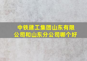 中铁建工集团山东有限公司和山东分公司哪个好