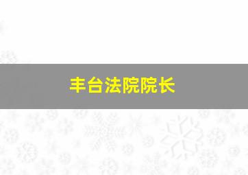 丰台法院院长