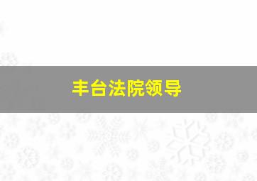 丰台法院领导