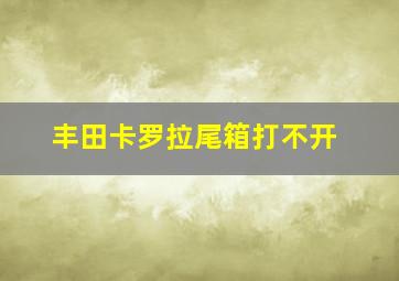 丰田卡罗拉尾箱打不开