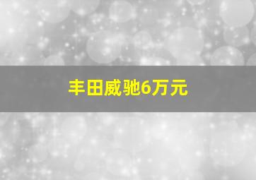 丰田威驰6万元