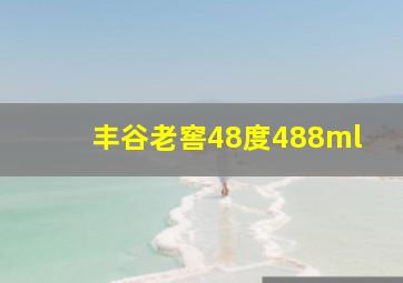 丰谷老窖48度488ml