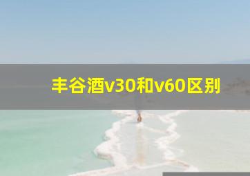 丰谷酒v30和v60区别