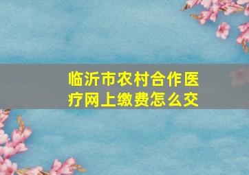 临沂市农村合作医疗网上缴费怎么交