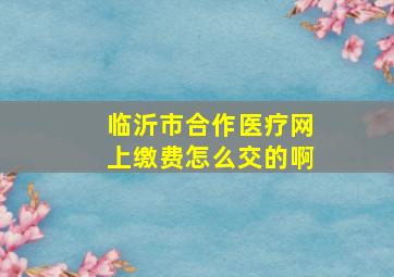 临沂市合作医疗网上缴费怎么交的啊