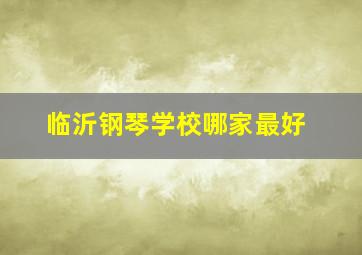 临沂钢琴学校哪家最好