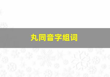 丸同音字组词