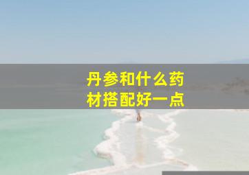 丹参和什么药材搭配好一点