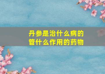 丹参是治什么病的管什么作用的药物