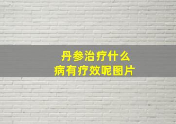 丹参治疗什么病有疗效呢图片