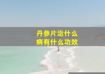 丹参片治什么病有什么功效