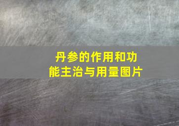 丹参的作用和功能主治与用量图片