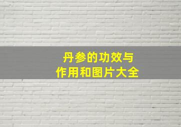 丹参的功效与作用和图片大全