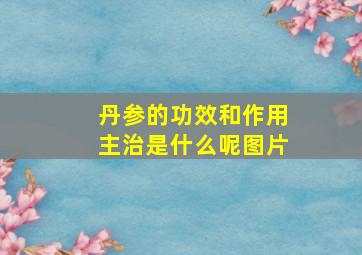 丹参的功效和作用主治是什么呢图片