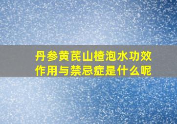 丹参黄芪山楂泡水功效作用与禁忌症是什么呢