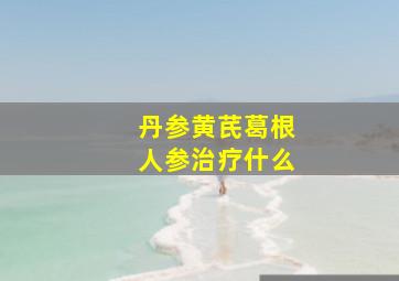 丹参黄芪葛根人参治疗什么