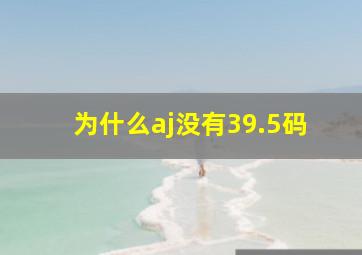 为什么aj没有39.5码