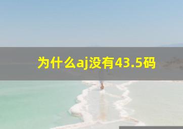 为什么aj没有43.5码