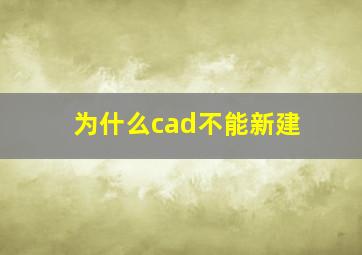 为什么cad不能新建