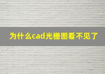 为什么cad光栅图看不见了