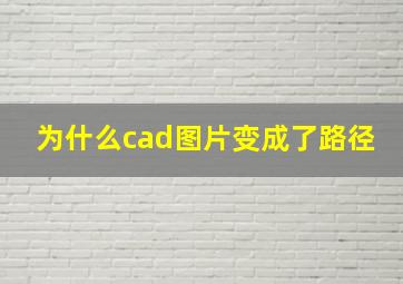 为什么cad图片变成了路径