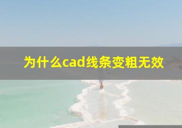 为什么cad线条变粗无效