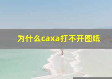 为什么caxa打不开图纸