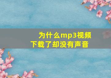 为什么mp3视频下载了却没有声音