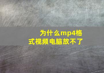 为什么mp4格式视频电脑放不了