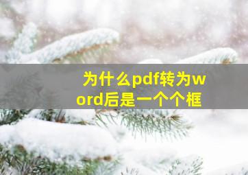 为什么pdf转为word后是一个个框