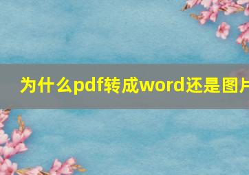 为什么pdf转成word还是图片