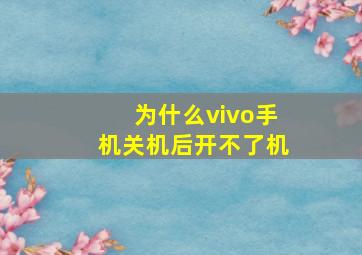 为什么vivo手机关机后开不了机