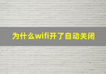 为什么wifi开了自动关闭