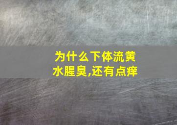 为什么下体流黄水腥臭,还有点痒