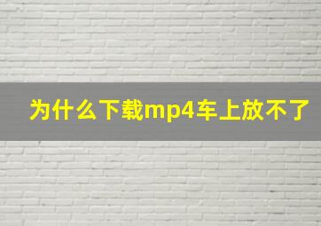 为什么下载mp4车上放不了