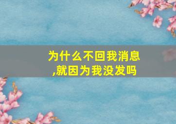 为什么不回我消息,就因为我没发吗