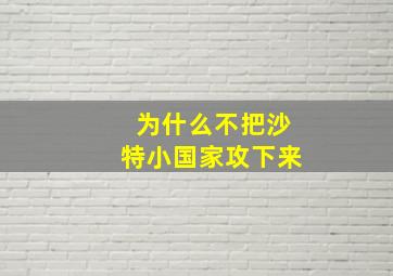 为什么不把沙特小国家攻下来