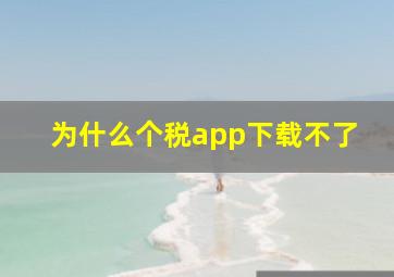 为什么个税app下载不了