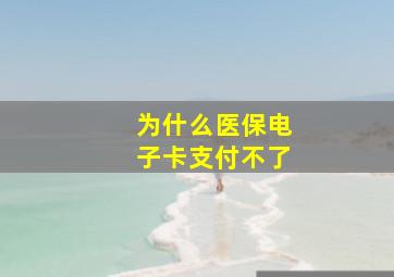 为什么医保电子卡支付不了