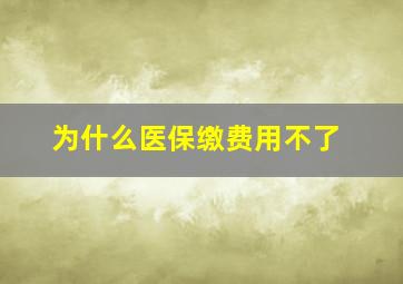 为什么医保缴费用不了