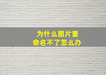 为什么图片重命名不了怎么办