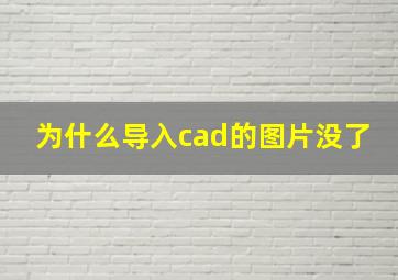 为什么导入cad的图片没了