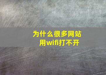 为什么很多网站用wifi打不开