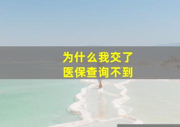 为什么我交了医保查询不到