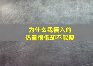 为什么我摄入的热量很低却不能瘦