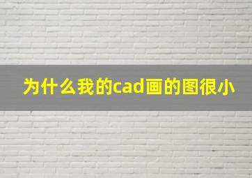 为什么我的cad画的图很小